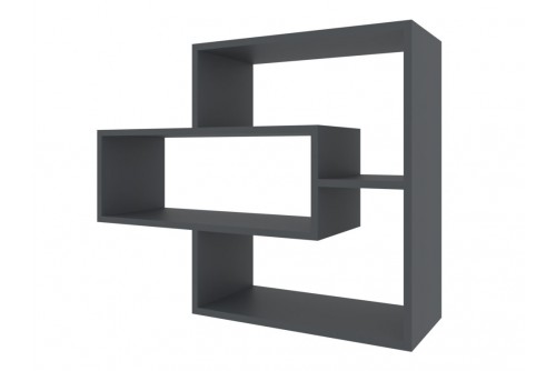 Полиця 13 Пєхотін